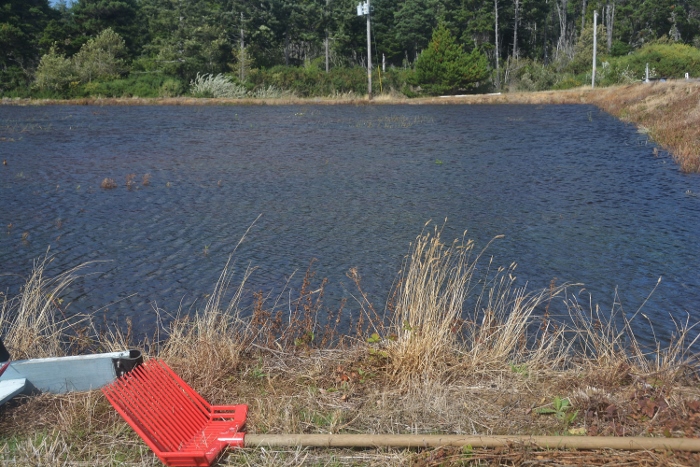 cranberry bog flooded